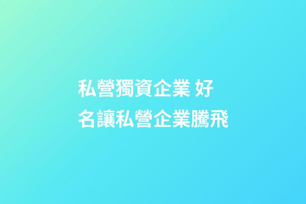 私營獨資企業 好名讓私營企業騰飛-第1張-公司起名-玄機派